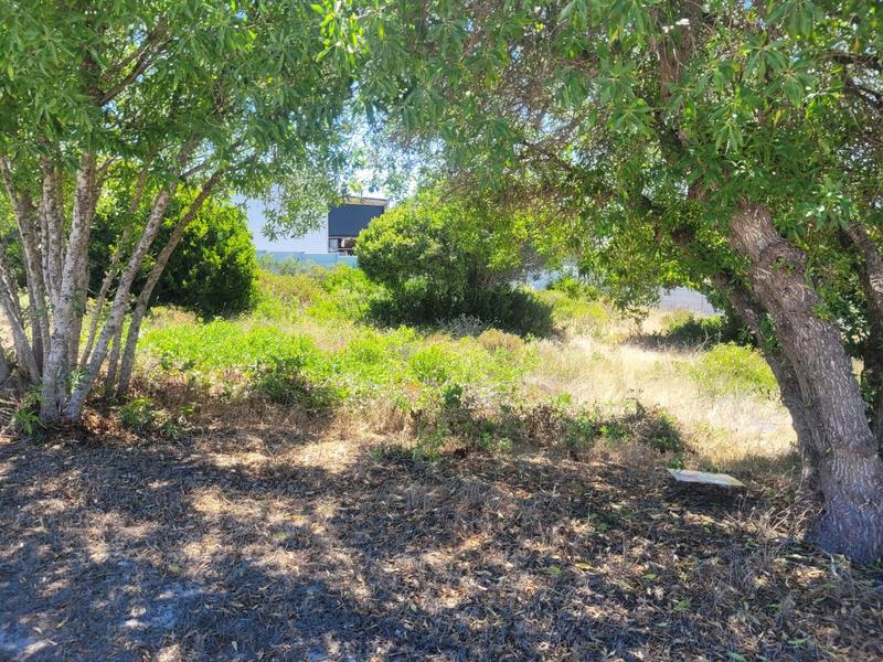 0 Bedroom Property for Sale in Kleinbaai Western Cape